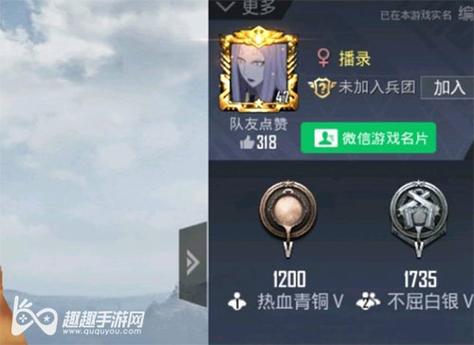 和平精英【天使】iOS辅助